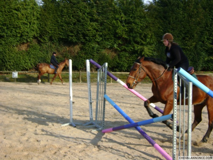 Photo de profil de aline78