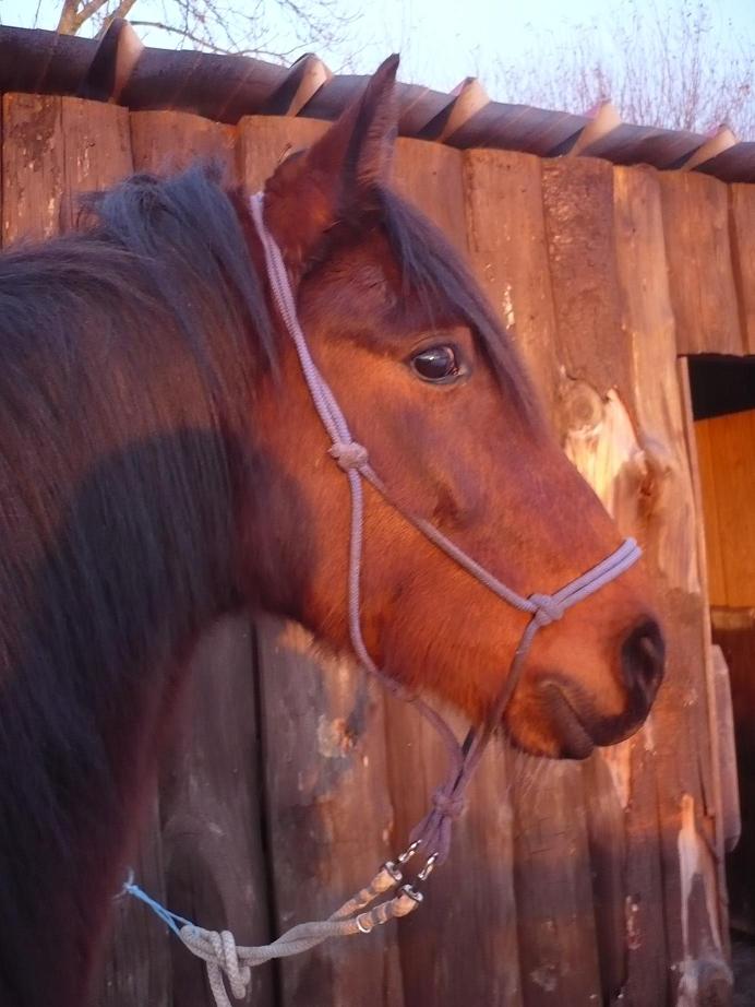 Photo de profil de coccidu14