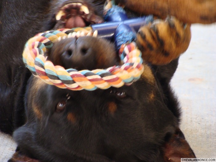 Photo de profil de missdodu31