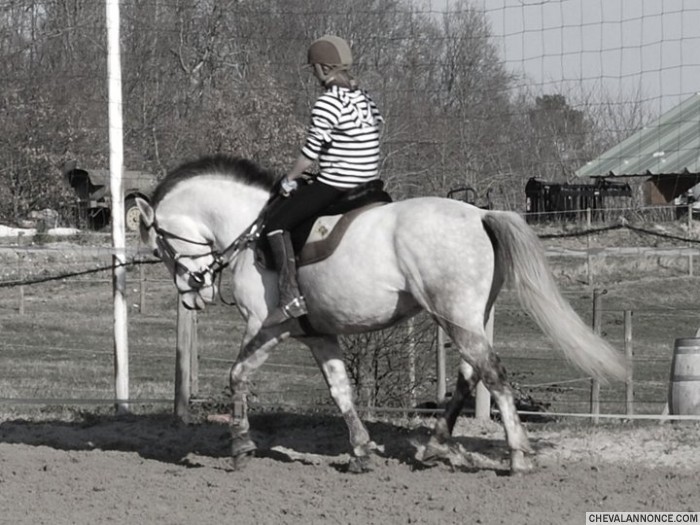 Photo de profil de lilouxsxsx