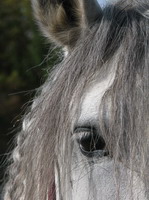 Photo de profil de cyana