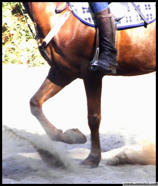 Photo de profil de sasacem