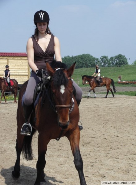 Photo de profil de melissou