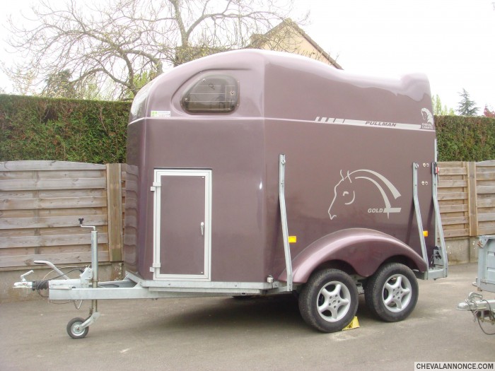 Photo de profil de domi28