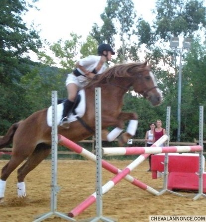 Photo de profil de emilyclementz