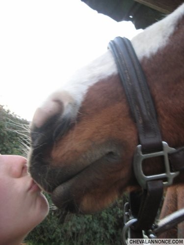 Photo de profil de bikkkette