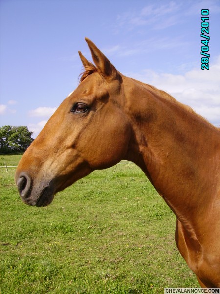 Photo de profil de rosenoire26