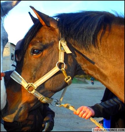 Photo de profil de vanessamarques