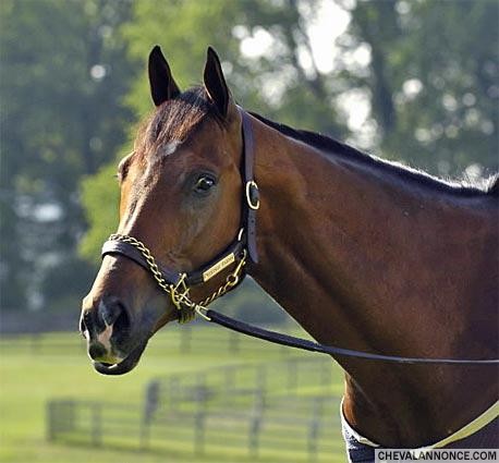 Photo de profil de neo17