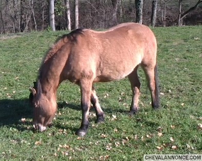 Photo de profil de matii