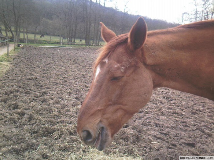 Photo de profil de superurgent