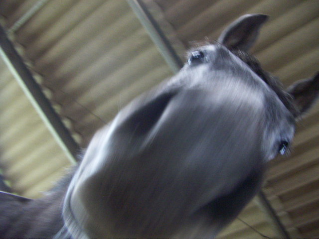 Photo de profil de deebx