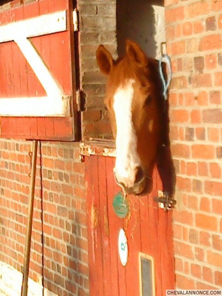 Photo de profil de darkangel64