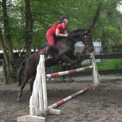 Photo de profil de diderot23