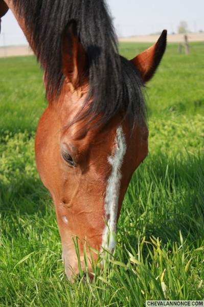 Photo de profil de emi59150