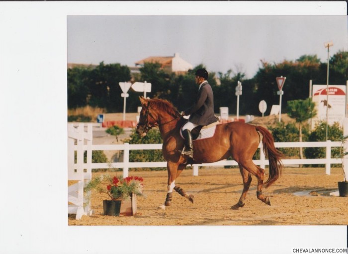 Photo de profil de litote