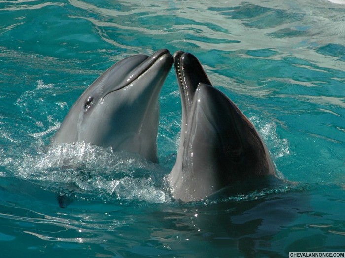 Photo de profil de nat27