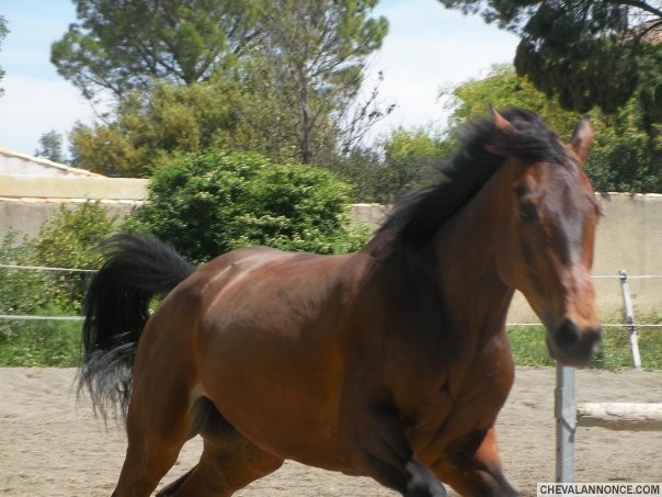 Photo de profil de ouragandulac
