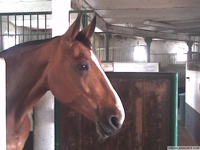 Photo de profil de herolie