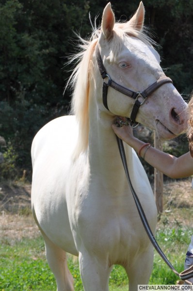 Photo de profil de chascha