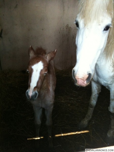 Photo de profil de jess21