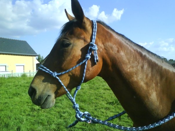 Photo de profil de eledja