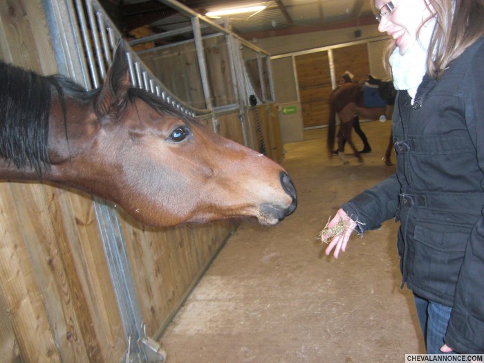 Photo de profil de lolo_o69