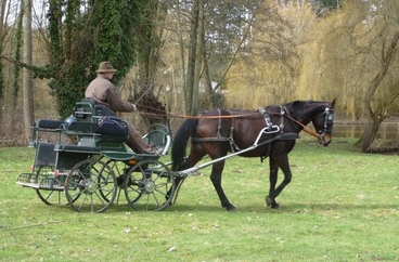 Photo de profil de erickbriere