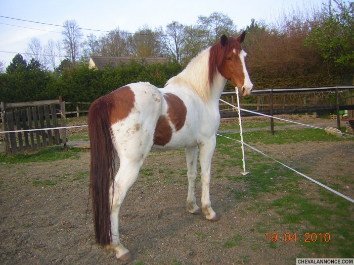 Photo de profil de loutanka