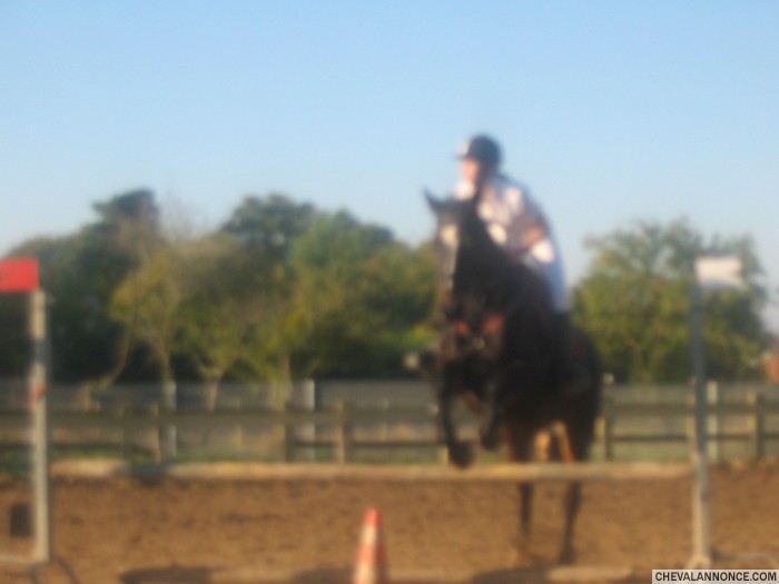 Photo de profil de shanon6412