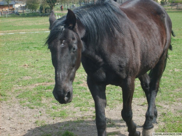Photo de profil de lacaz