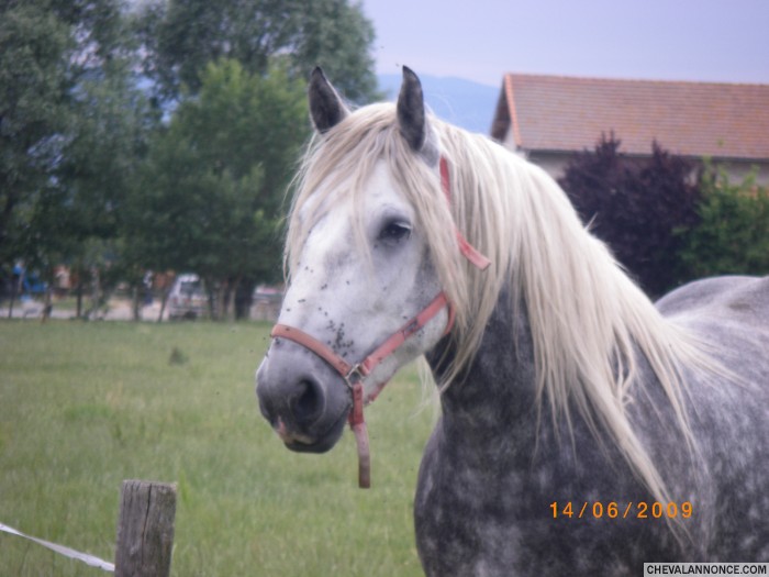 Photo de profil de patricia42