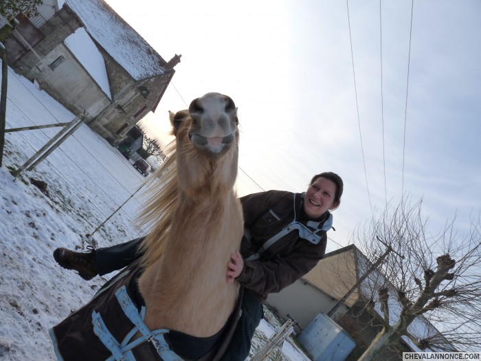 Photo de profil de parade