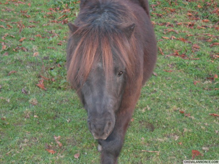 Photo de profil de gaelle201281