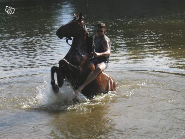 Photo de profil de fabrice19