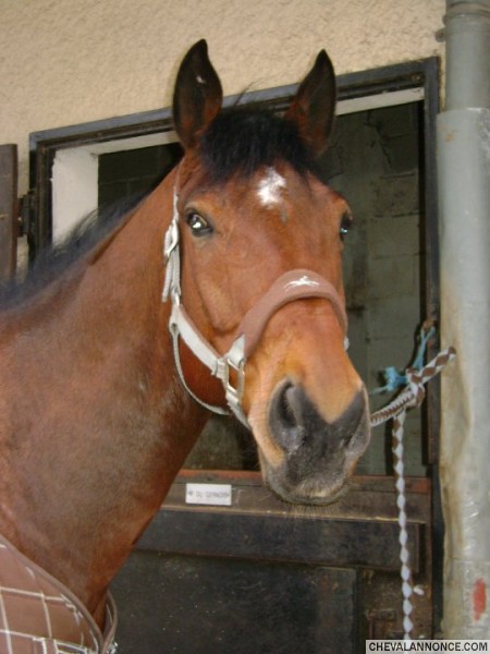 Photo de profil de chymdy51