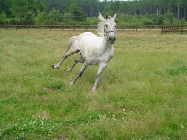 Photo de profil de felinololita