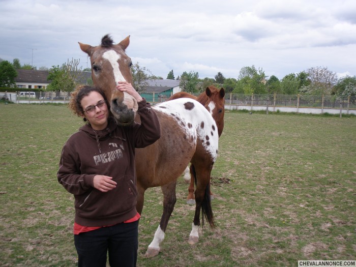 Photo de profil de heyoka