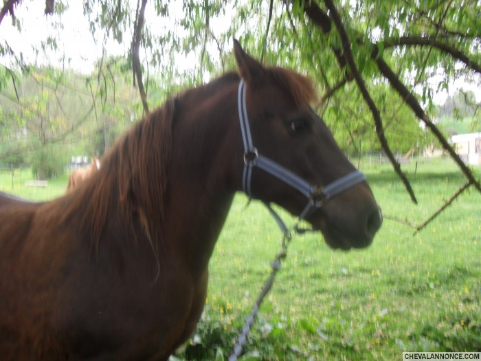 Photo de profil de skitit