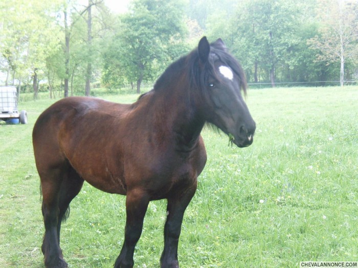 Photo de profil de missclic78