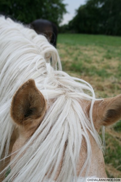 Photo de profil de fry-