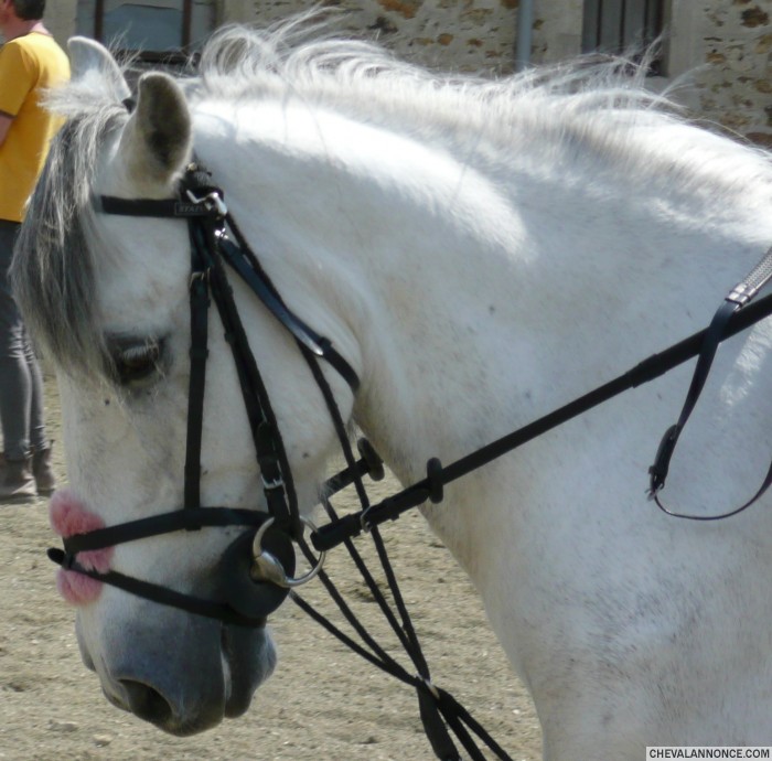 Photo de profil de kimy