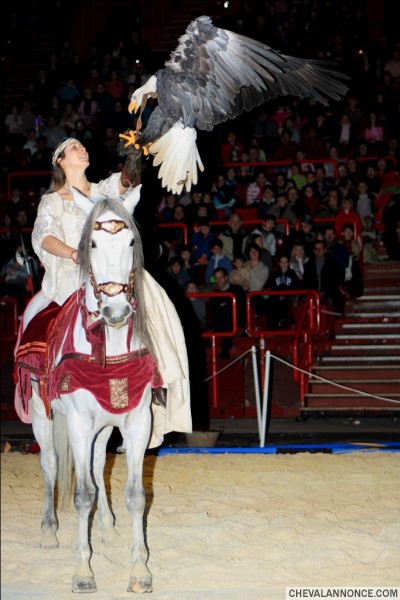 Photo de profil de dragao