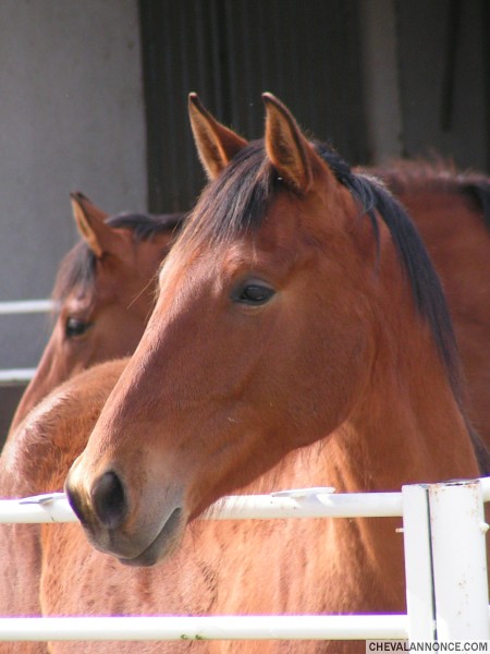 Photo de profil de choupinettedelt