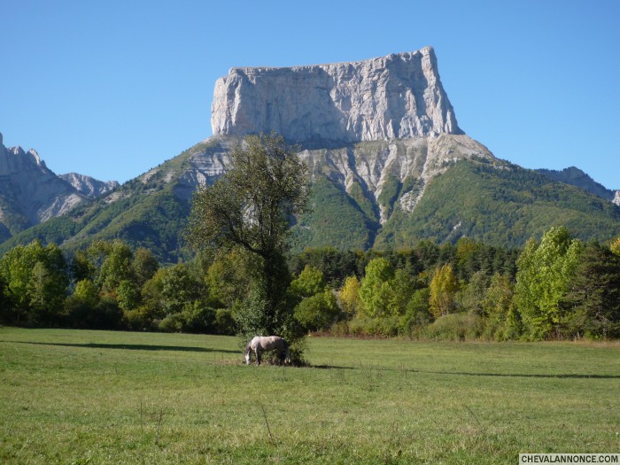 Photo de profil de edoras