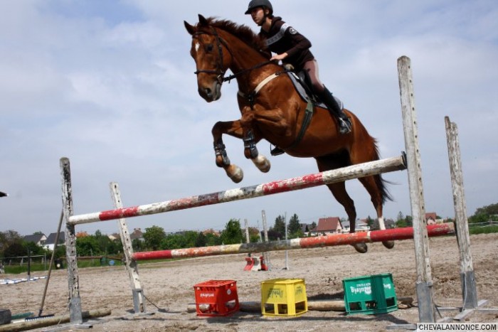 Photo de profil de sophieicar