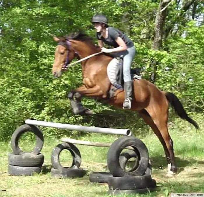 Photo de profil de cooki1804