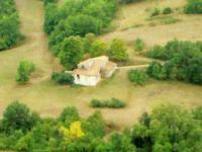 Photo de profil de gisou