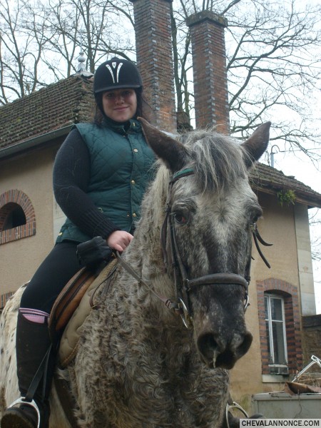 Photo de profil de caval21
