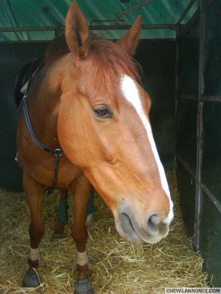 Photo de profil de chlo28